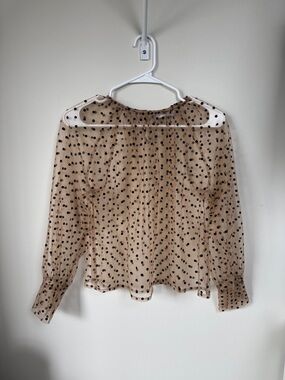 Sheer top